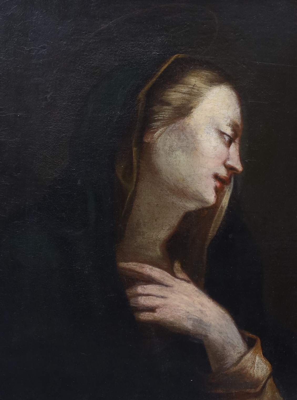 Continental School, 18th century, oil on board, Study of the Virgin Mary, in ornate gilt frame, 47 x 38cm